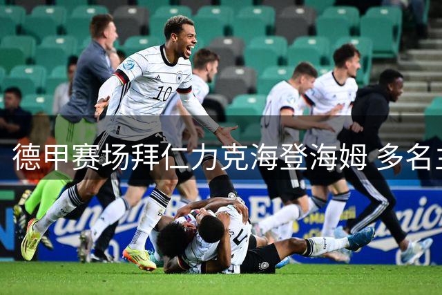 德甲赛场拜仁力克海登海姆 多名主力球员登场亮相